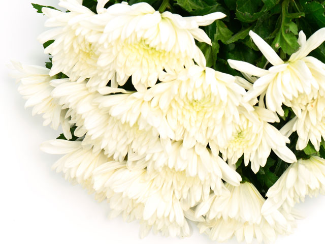 효사랑장례협동조합 이미지