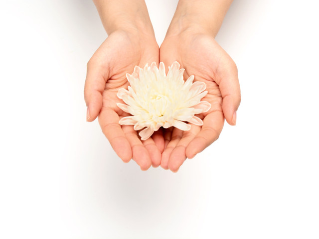 효사랑장례협동조합 이미지